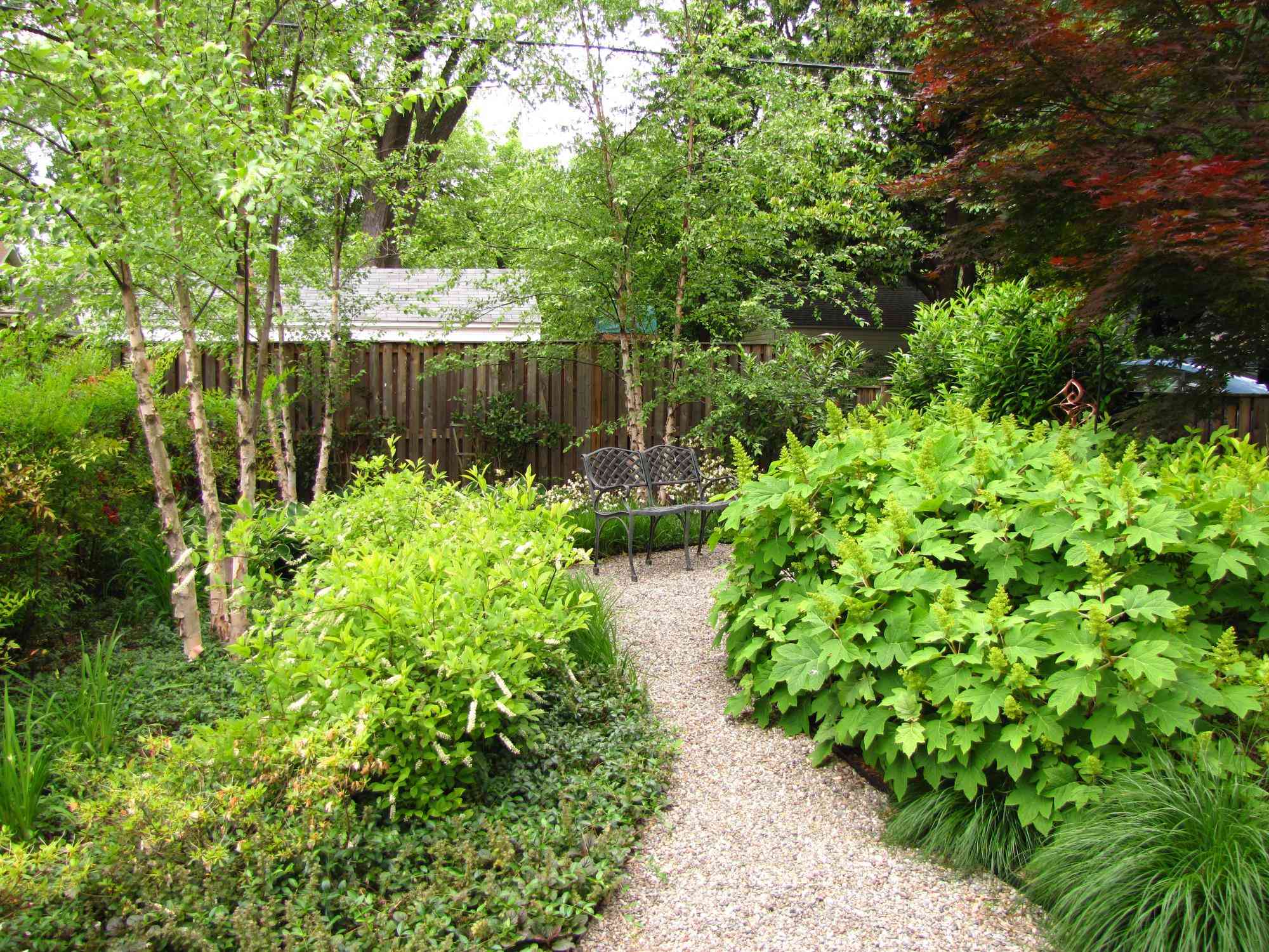 Creating an outdoor room • In Harmony Sustainable Landscapes